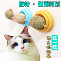 Cat Mint Ball Cat Toy Wood Sky Tease With Cat Sticks Self hi Relieving Smoggy Cat Kitty Licks Le Grindle Dentity Dentistry Supplies