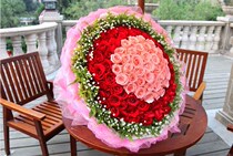 99 Roses Inner Mongolia Uhai City Tongcheng Flower Express Haibble Bay Uda District Uhai Flower Shop sends flowers to the door