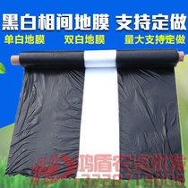 Agricultural single white grass-proof mulch film double white black and white Interfilm insulation transparent mulch black mulch vegetable silver Black