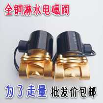 Heavy truck trailer truck car drip brake sprinkler accessories all copper solenoid valve 4 minutes 24v sprinkler valve