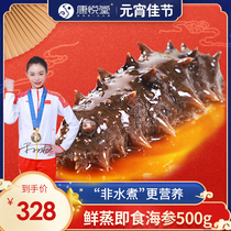 Kang Yue Tang Fresh steamed (non-water hair) high-end instant sea cucumber 500g