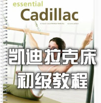 Pilates Essential Cadilla Cadillac Bed Primary