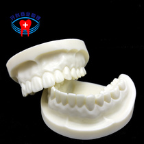 Oral material White corundum Tooth preparation model Tooth preparation Hole Porcelain Abutment Porcelain crown Oral practice examination