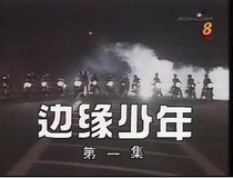 DVD version Edge Boy] Li Nanxing Lin Meijiao 25 episodes 3 discs