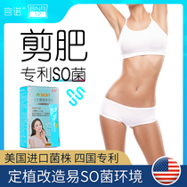 Gongnuo BNR17 probiotic powder adult female adults can use complex enzyme constipation drainage oil to reduce visceral fat