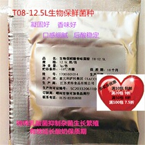 Commercial T08-12 5L biological preservation plus cheese flavor bacteria imported from Italy warm yogurt bacteria do 25-30 pounds