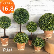 Simulation plant potted bonsai small ornaments Fake flower ball Living room indoor green plant decoration Office desktop decoration