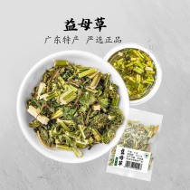 Jiangyun motherwort 5G Flower tea Chinese herbal medicine fresh conditioning with brown sugar ginger tea aunt urging the menstrual Qi blood can soak feet