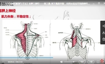 Talking about Chinese Medicine-Practical Neuroanatomy and Techniques to Play with Human Nerves One by One(22 episodes)