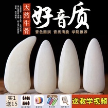 Bianhe guzheng nail professional playing cow bone nail prosthesis guzheng double curved surface adult childrens special test thick