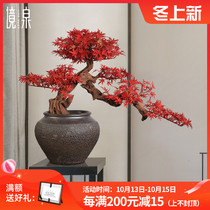 Jingquan Chinese Red Maple simulation welcome pine bonsai desktop ornaments Zen soft office front desk