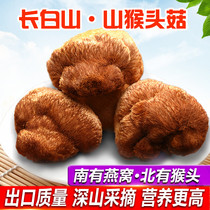 Farm-produced authentic monkey head mushroom dried goods Northeast non-wild fresh premium bulk Changbaishan 250g