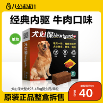 Dog Heart Blessed Large Dog Pets Dogs Inner Insect Dogs Use Insect Dogs to Use Insect Pills