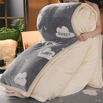 Double sided flange suede quilted winter by autumn winter thickened warm coral suede quilt cover quilt core detachable double winter