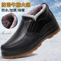 Old Beijing cloth shoes mens cotton shoes winter non-slip high thick warm middle-aged father shoes beef tendon old shoes