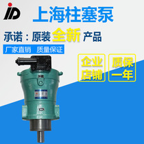  Factory direct sales of high-quality high-efficiency and low noise 160PCY 160PCY14-1B Shanghai high-pressure plunger pump