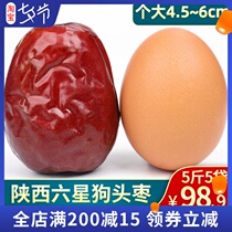 Dogs head jujube Northern Shaanxi Yanan Qingjian Shaanxi specialty special six-star jujube snacks Xian full box 5 kg five bags
