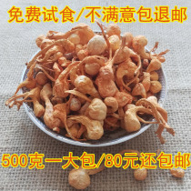 Premium Cordyceps Militaris Extra large spore Head High Mealweed Flower Xinhui North Cordyceps Golden Cordyceps 500g