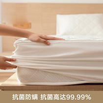 Full cotton anti-mite bed Bamboo Hat single Thickened Clip Cotton Pure Cotton Mattress Cover Sleeve Non-slip Fixed Mat Dreams protective sleeves Customized