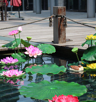 Simulation lotus leaf Simulation lotus floating water lily Lotus for Buddha pool Fish pond decoration Fake lotus leaf dance props