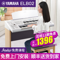 Yamaha double-row key electronic organ beginner ELB02 childrens professional teaching electronic pipe organ