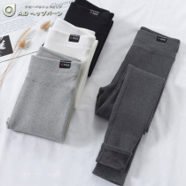 Large size beats bottom pants woman spring autumn new thin suede outside wearing pure cotton tight fit pants grey high waist display slim fit slim fit 90% pants