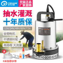 Electric battery car DC submersible pump 12V24V48V60V agricultural well water pump Small high pressure pump