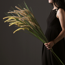 Nordic dog tail grass simulation flower green plant reed grass modern home indoor living room floor large bunch fake flower decoration