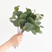 ins Nordic minimalist wind emulation floral round leaves Eugalie fresh green leafy flower arrangement accessories home decoration products