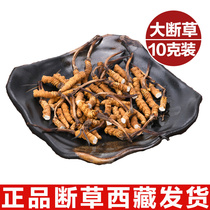 Cordyceps Sinensis Dried Dried Cordyceps Sinensis 10g Gift Box of Cordyceps Sinensis Tea East Cordyceps Sinensis