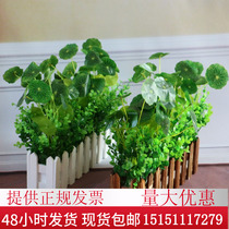 False green plant fake flower ornaments indoor and outdoor simulation decoration fake lotus leaf fence potted plant simulation flowers and plants set