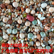 Race Power Dove Grain 2A No Corn Young Pigeon 2AA Racing Pigeon Feed Pigeon Army Dove Watch Pigeon Bird Eat 50 kilos