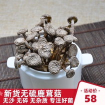 Deer antler mushrooms Dried Deer Antler mushrooms 500g natural sulfur-free wild mushrooms Fresh premium local soup ingredients Shiitake mushrooms