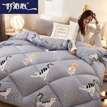 Quilt 2021 imi 8 cotton quilt core 2 spring 4 by 8 thickened in warm life spring 6 catties 3 5 15 quilts 1 Single person 5