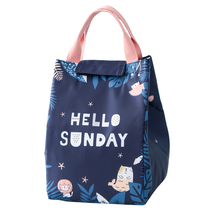 Bag pocket waterproof and insulated lunchbox Bag Bowls for Primary Students with cute Meals Lunch Box Carry-girl Bag Children