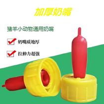 Water dog farm lamb with mineral water cola bottle bottle cream bottle to bite cow and sheep small animal mineral water dog farm