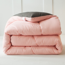 Quilt winter quilt thickened warm cotton quilt core spring and autumn quilt single student dormitory winter space quilt double air-conditioning quilt