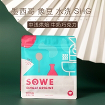 Pair coffee) Mexican Elephant Bean washing treatment SHG fresh roasted boutique coffee beans 120g grindable powder