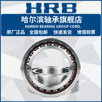 HRB Harbin Bearing ( Double Column ) 3305 3306 3307 3308 3309 3310 A-RZTN