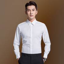 Xinjiang cotton long sleeve white shirt men Korean version of slim fit youth professional business dress inch shirt small collar work white shirt