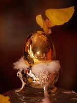 The Golden Egg Photo free photo frames