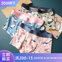Cute Kitten Isong Island House Cartoon Underpants Mens Pure Cotton Pink Mens Underwear Cute Guys Four-corner Pants Head Man