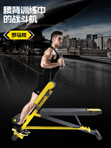 Goat lifter Roman chair Sit-up Sitters Home Fitness Chair Multifunction Dumbbells Preacher Stool Waist Belly Fitness Stool