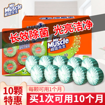 Mr. Weiqi CLEAN TOILET BMW BARREL DETERGENT BLUE BUBBLE TOILET CLEAN TOILET BLOCK NET FLAGSHIP STORE OFFICIAL FLAGSHIP