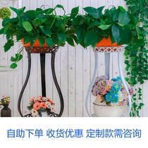 Reinforced Iron Art Flower Shelf Living Room Minimalist Modern Multilayer Economy Sturdy Terrace Green Roba Shelf Special Price