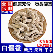 White Bombyx Mori 500g Chinese herbal medicine selection of Bombyx Mori Silkworm Fried Silkworm White Bombyx Silkworm Powder Remarks