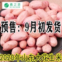 Raw peanut large grain new goods Shandong big grain peanut bean 5kg 2020 super large bulk new peanut kernel