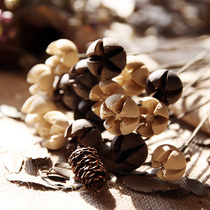 Fan makeup home decoration flower simulation flower cross fruit dried flower living room dining room vase flower arrangement coffee table placed flowers