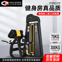 Comprehensive professional biceps triceps integrated machine training device commercial gym special arm strength equipment