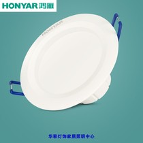 New promotion Hongyan led downlight 4w5W embedded 75 holes 8 cm living room ceiling aisle 5w hole ceiling